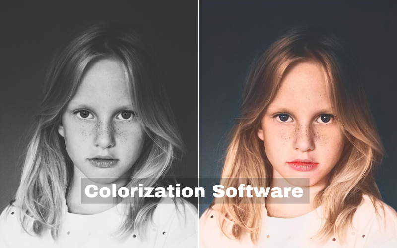 Best 5 Software to Convert Black and White Photo to Color