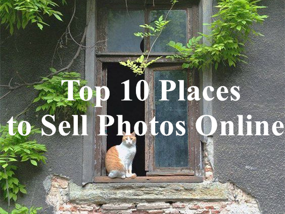 Top 10 Places to Sell Photos Online and Make Money