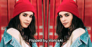 VanceAI Image Flipper.