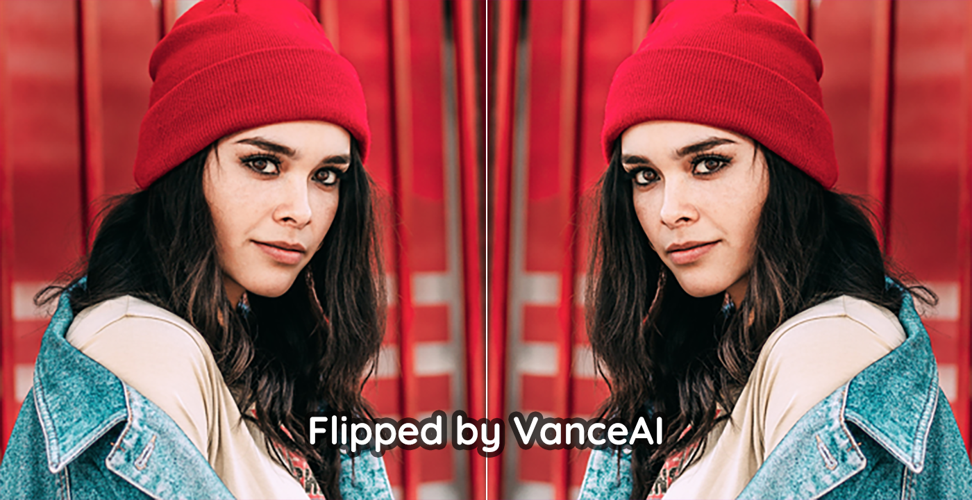 VanceAI Image Flipper.