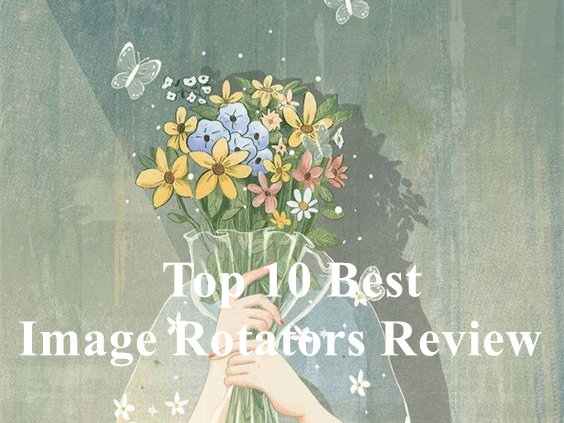 Top 10 Best Image Rotators Review